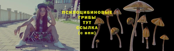гидра Арсеньев