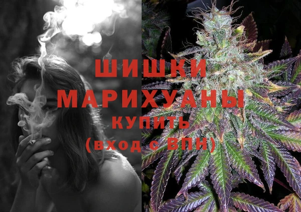гидра Арсеньев